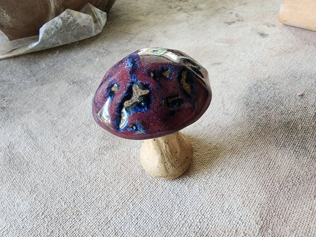 Mystery mushroom trinket