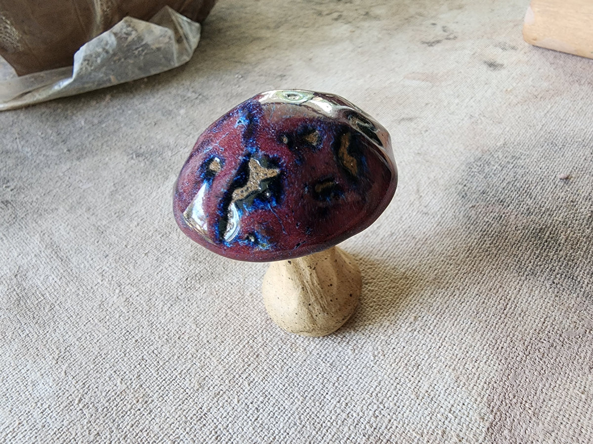 Mystery mushroom trinket