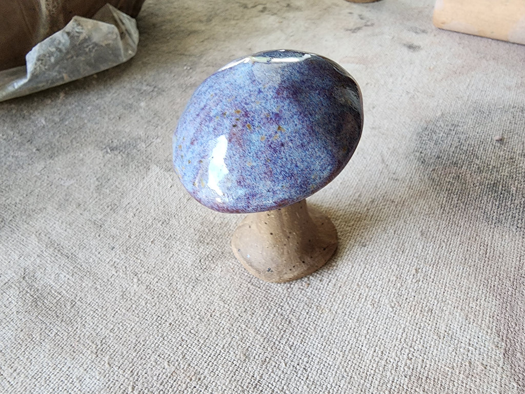 Mystery mushroom trinket