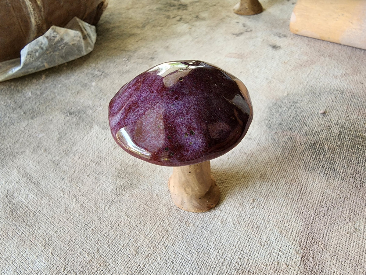Mystery mushroom trinket