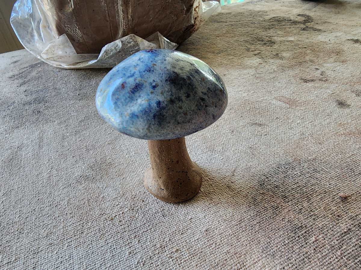 Mystery mushroom trinket