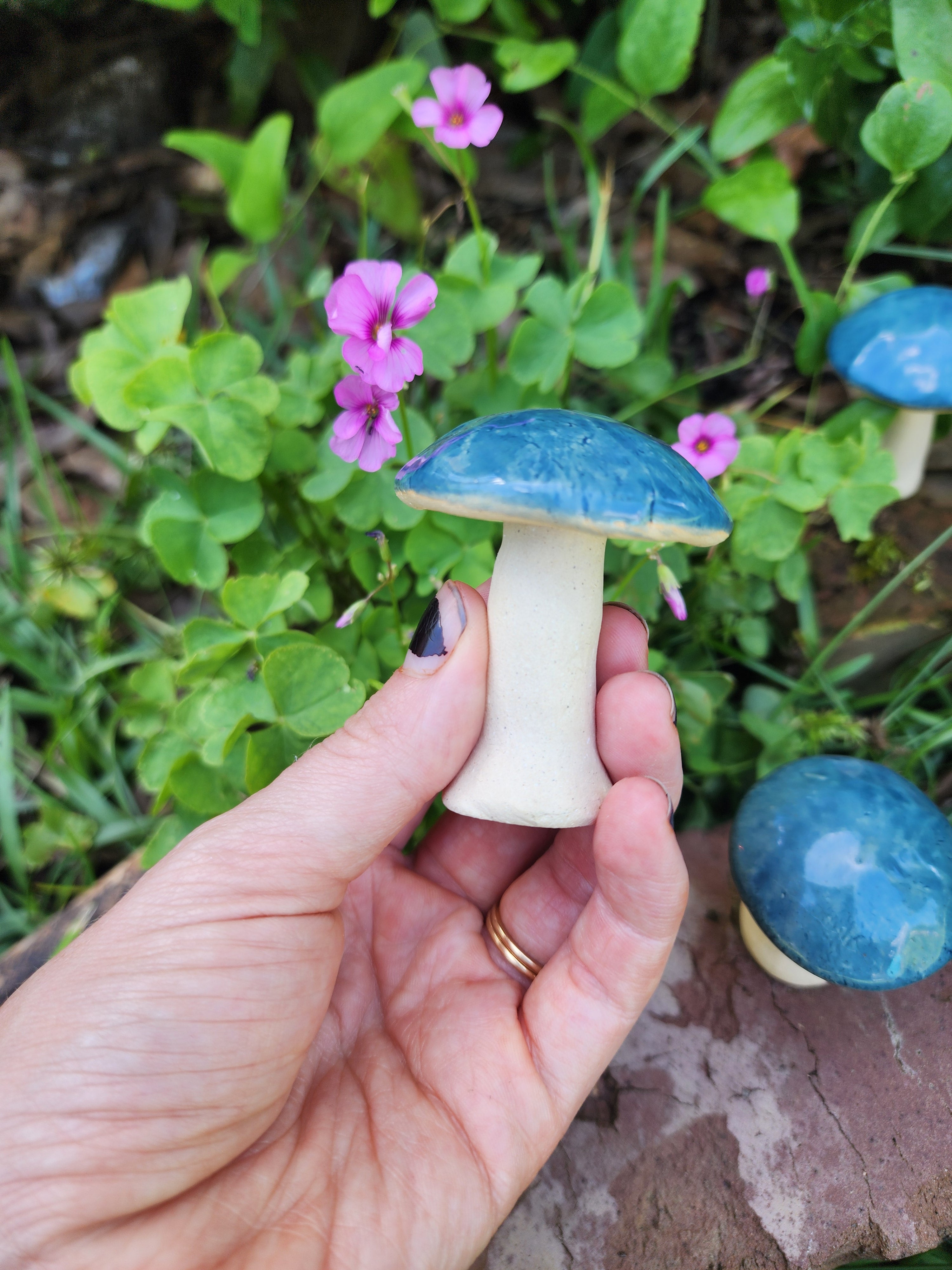 Blue top shrooms